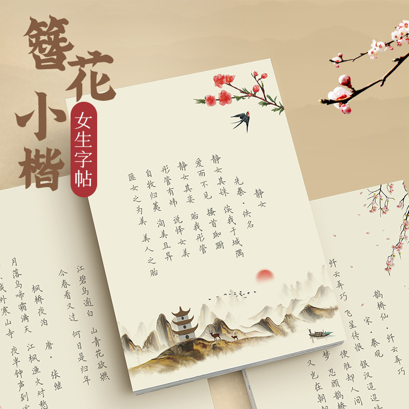 Cahier de calligraphie à style - Chinese Calligraphy Practice Book avis et prix