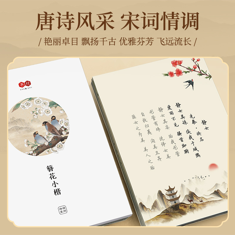 Cahier de calligraphie à style - Chinese Calligraphy Practice Book avis et prix
