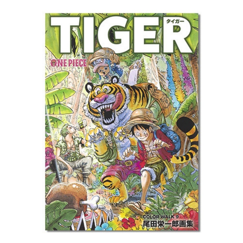 Livre d'illustrations One Piec - Stationery Books avis et prix