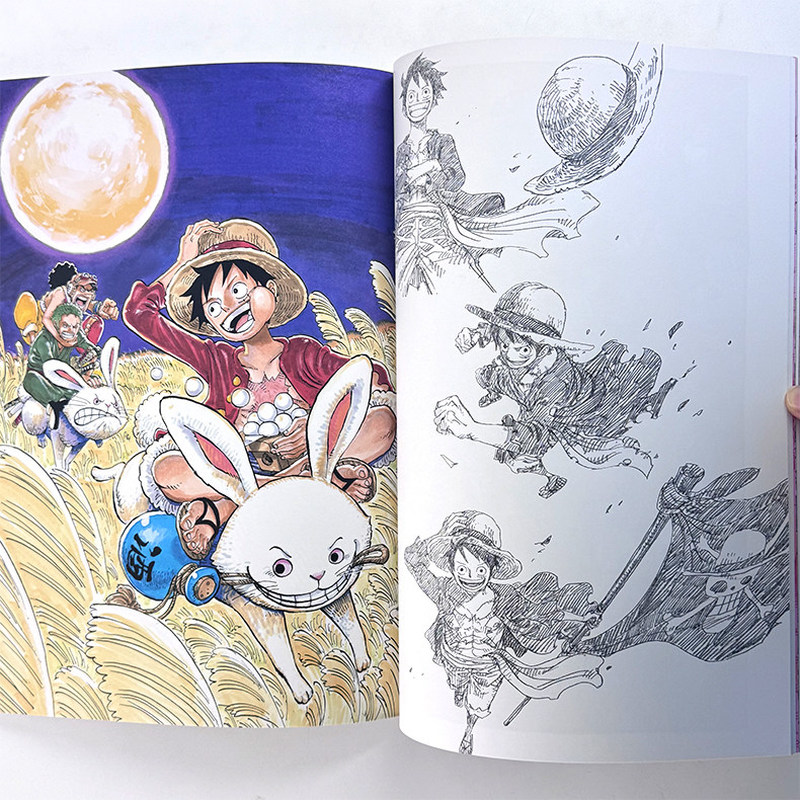 Livre d'illustrations One Piec - Stationery Books avis et prix