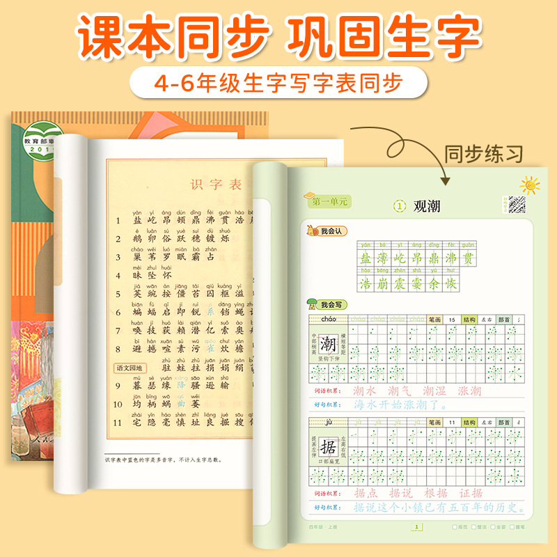 Cahier de calligraphie à point - Chinese Calligraphy Practice Book avis et prix