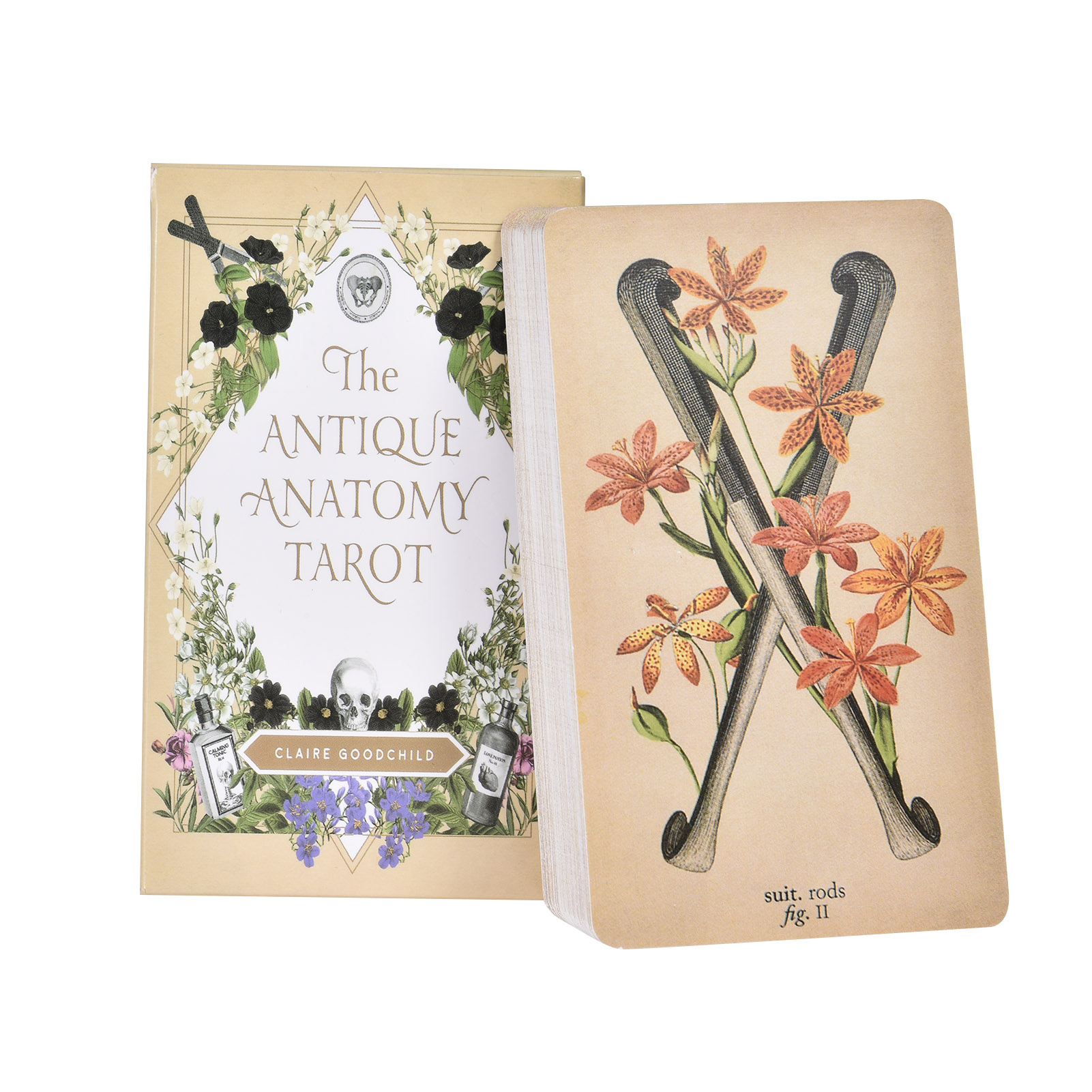 Les Cartes de Tarot « Anatomy  - Tarot Deck With Guidebook avis et prix