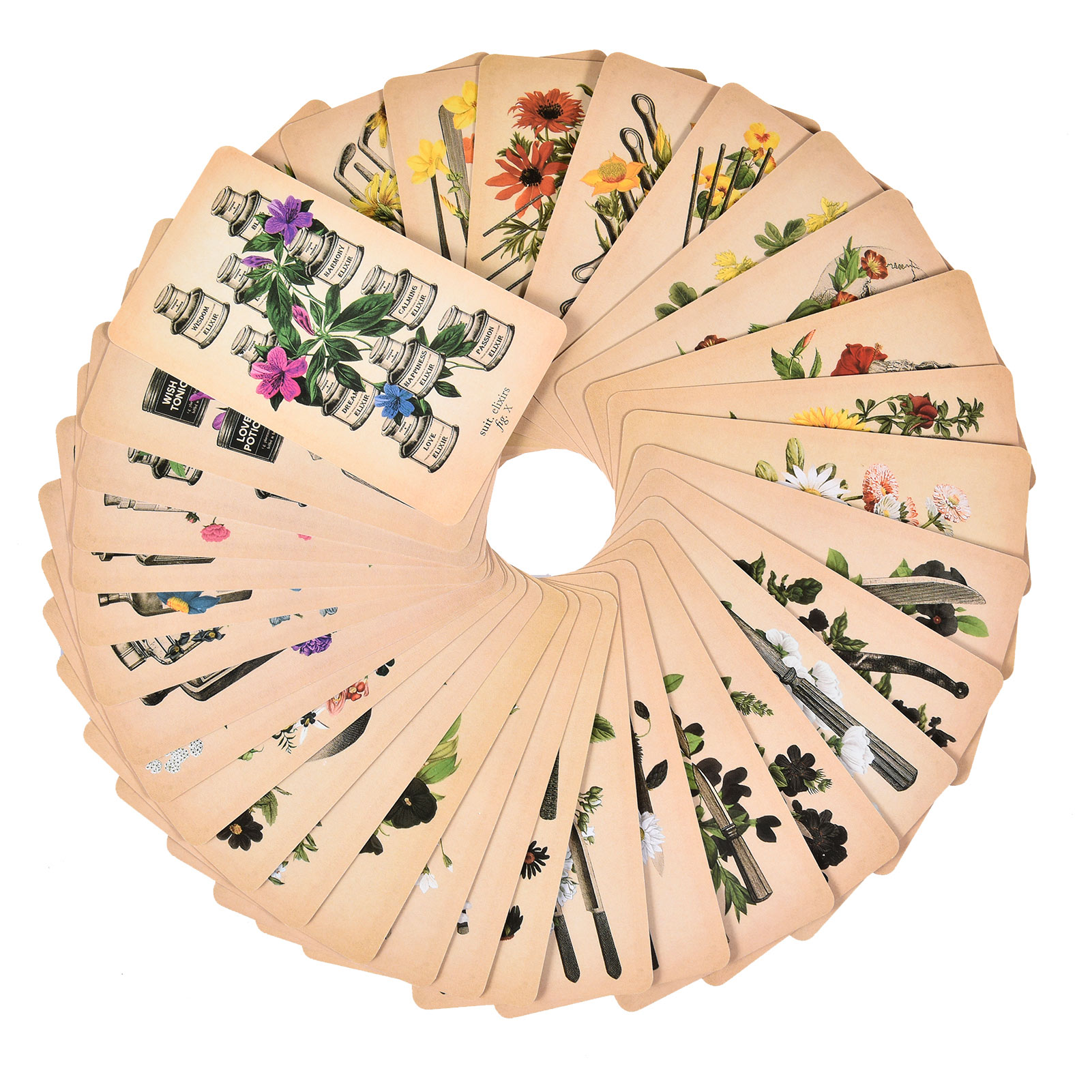 Les Cartes de Tarot « Anatomy  - Tarot Deck With Guidebook avis et prix