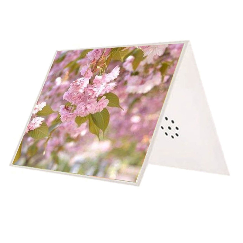 Carte vœux DIY parlant inscrip - Blank Sheet Music Notebook avis et prix
